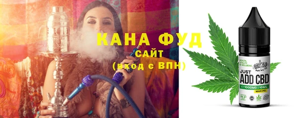 хмурый Алексин