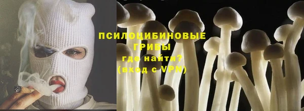 прущая мука Алзамай
