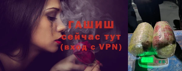 хмурый Алексин