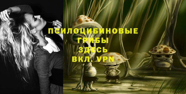 ГАЛЛЮЦИНОГЕННЫЕ ГРИБЫ Алексеевка