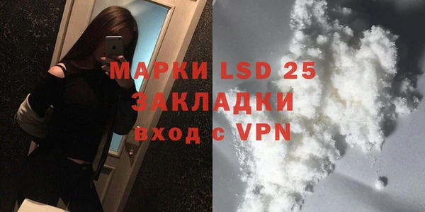 хмурый Алексин